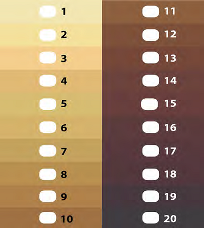 Escala de classificação de níveis de cor da pele