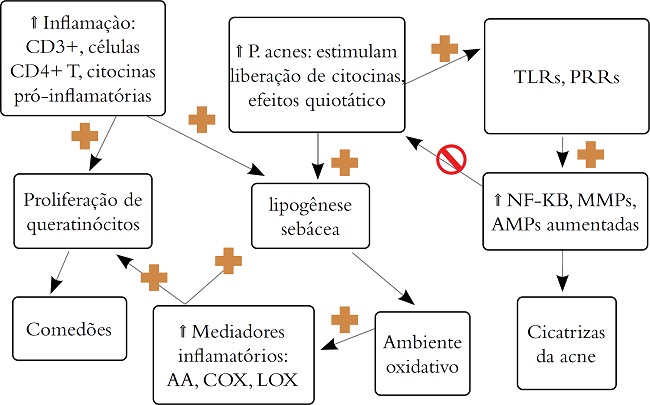 Inflama&ccedil;&atilde;o e acne vulgar