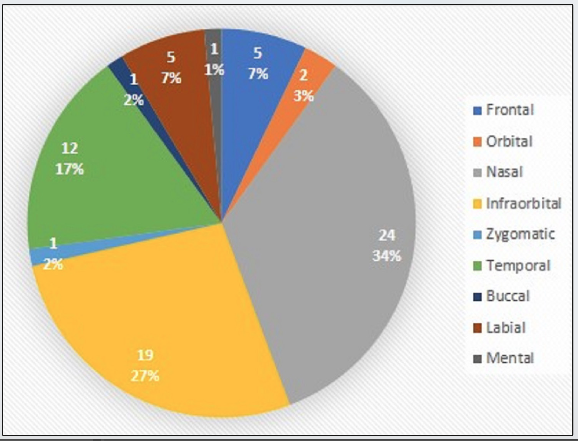 Distribui&ccedil;&atilde;o de pacientes com CBC por unidade est&eacute;tica da face