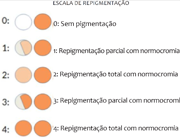 Escala de gradua&ccedil;&atilde;o da repigmenta&ccedil;&atilde;o