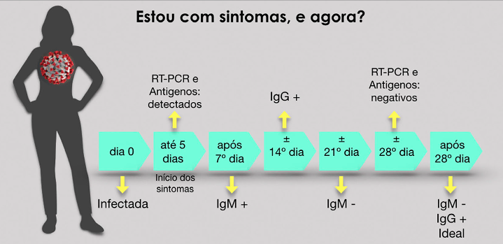 Indica&ccedil;&atilde;o pr&aacute;tica para exames laboratoriais/COVID-19