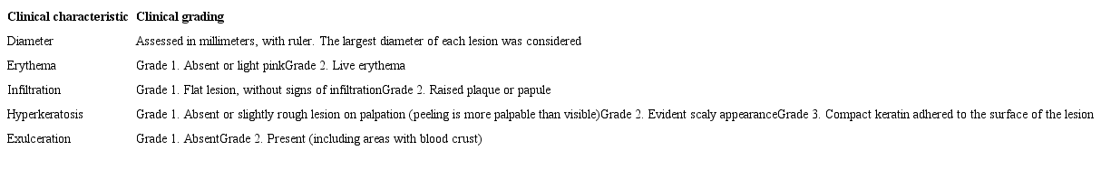 Clinical characteristics evaluated in each actinic keratosis lesion