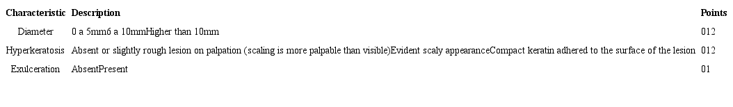Clinical actinic keratoses severity scale - AKSS