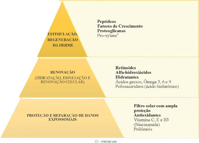 Expossoma da pele na menopausa nas dimensões ambiente externo
                                geral, ambiente externo específico e ambiente interno