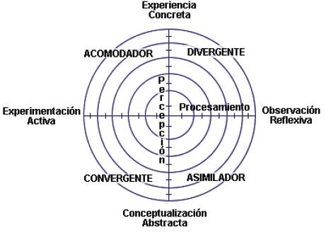 Estilos de aprendizaje.