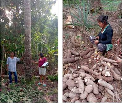 Recorrido al bosque y la chagra