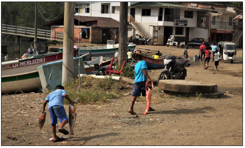 Niños cargando pescado. Bahía Solano, 18/01/2020, 8h21m.: Es común la presencia de niños en las inmediaciones del puerto y Puente de Chambacú, muchos de los cuales reciben pescado de regalo