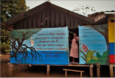 Habitación en Chambacú. Bahía Solano, 18/01/2020, 9h48m.: Las casas del barrio Chambacú son en su mayoría de madera y están construidas en medio de los manglares, en la foto doña Cecília muestra un mensaje en su casa