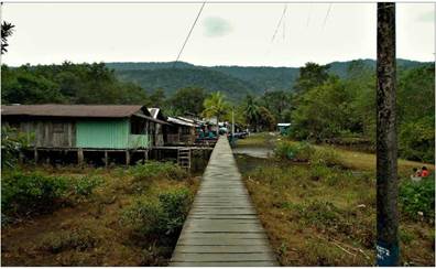 Pasarela, habitaciones y manglares. Chambacú, 21/01/2020, 16h25m.: El barrio Chambacú tiene una pasarela suspendida que da acceso a las casas