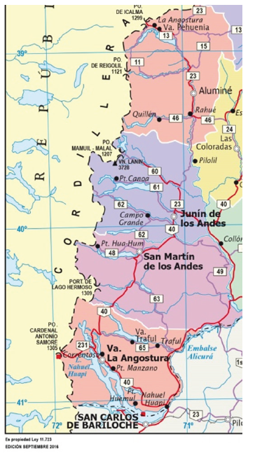 Figura regi�n cordillerana de la provincia de Neuqu�n