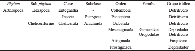 Composición taxonómica y funcional de la mesofauna edáfica.