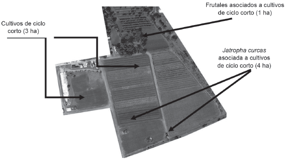 Distribución del área total de la finca Guamá.