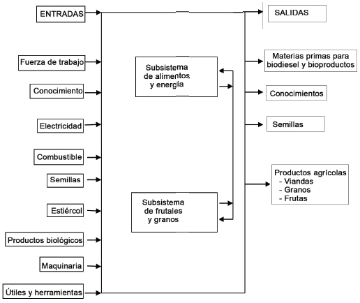 Diseño de sistema en la finca Guamá.