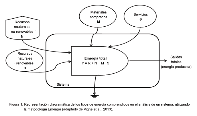 Figura 1. Representación diagrámica de los tipos de energía
comprendidos en el análisis de un sistema, utilizando la metodología (adaptado
de Vigne et al., 2013).