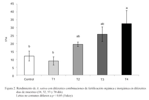Figura 2. Rendimiento de 
A.Sativa con diferentes
combinaciones de fertilización orgánica e inorgánica en diferentes días de
muestreo (18, 32, 53 y 70 dds).