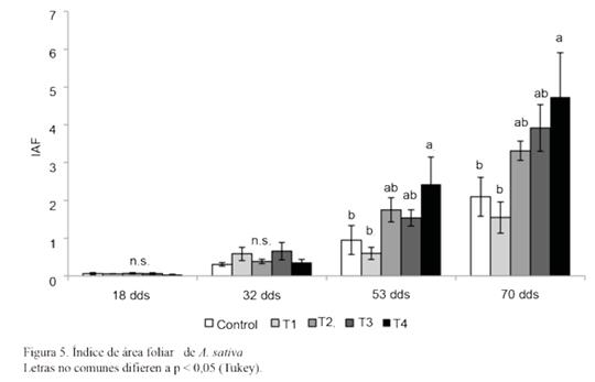Figura 5. Índice de área foliar de A. sativa 