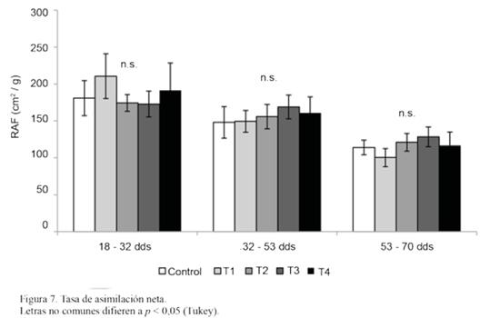 Figura 7. Tasa de asimilación neta.