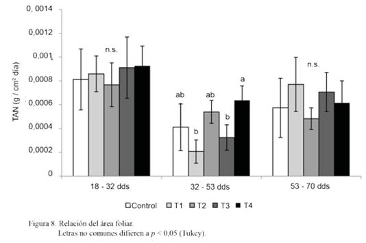 Figuera 8. Relación del área foliar.