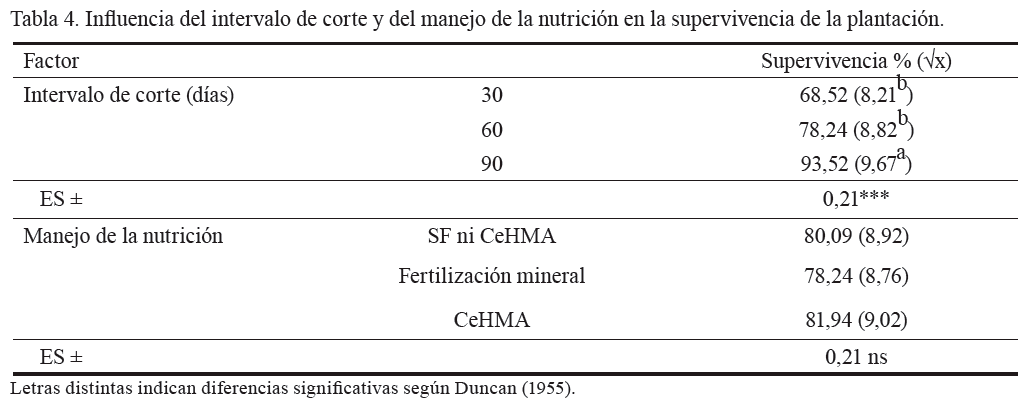 Tabla 4. Influencia del intervalo de corte
y del manejo de la nutrición en la supervivencia de la plantación.