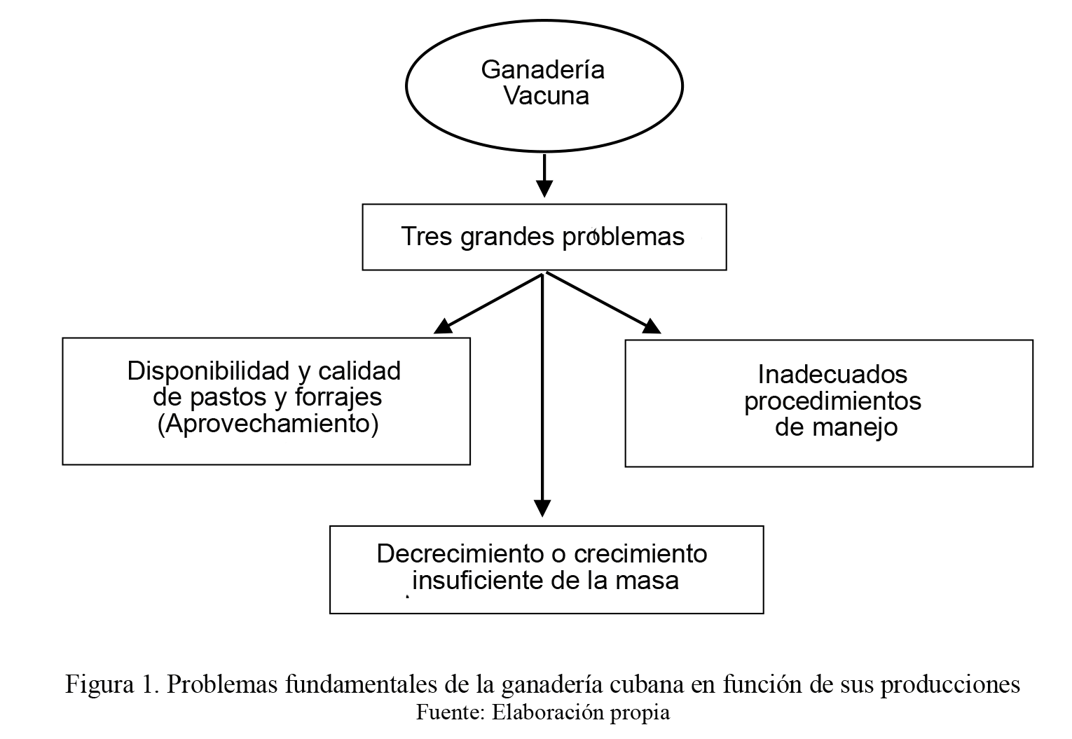 Figura 1. Problemas fundamentales de la ganadería cubana en
función de sus producciones.
