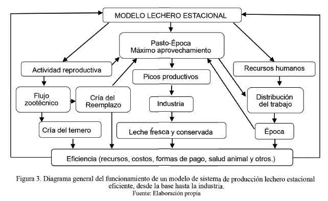 Figura 3. Diagrama general del funcionamiento de un modelo
de sistema de producción lechero estacional eficiente, desde la base hasta la
industria.