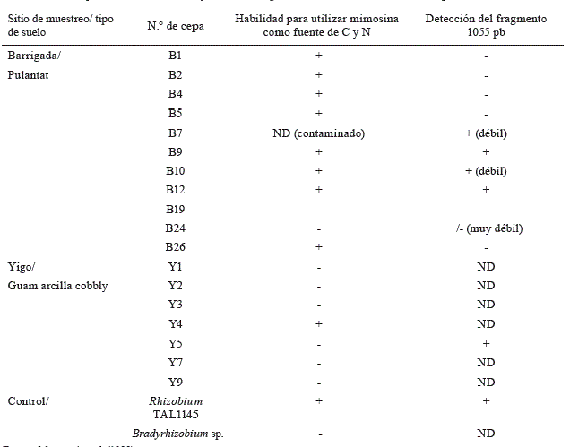 Habilidad para utilizar la mimosina y deteccion del gen midA del TAL1145 ne diferentes sepas