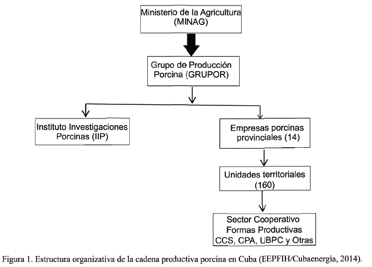 

Figura
1. Estructura organizativa de la cadena productiva porcina en Cuba
(EEPFIH/Cubaenergía, 2014).

