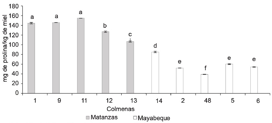 Figura 1. Cantidad de prolina en la miel procedente de las colmenas de Matanzas y Mayabeque.