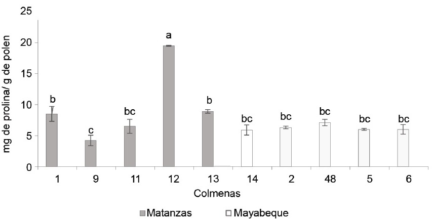Figura 2. Cantidad de prolina en polen en base seca, procedente de las colmenas de Matanzas y Mayabeque.