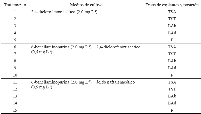 Tabla 1. Combinaciones de diferentes medios de cultivo con el tipo y posición de los explantes en la formación de callos de M. alba.
