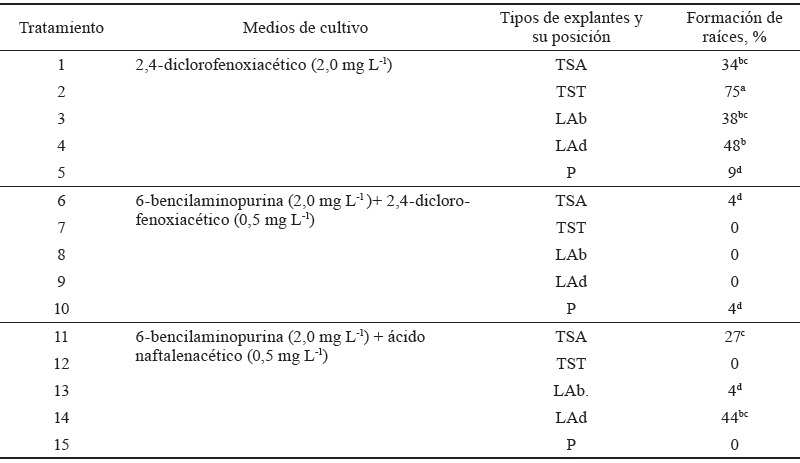 Tabla 3. Efecto de diferentes medios de cultivo y tipos de explantes en el porcentaje de formación de raíces a los 30 días de cultivo.