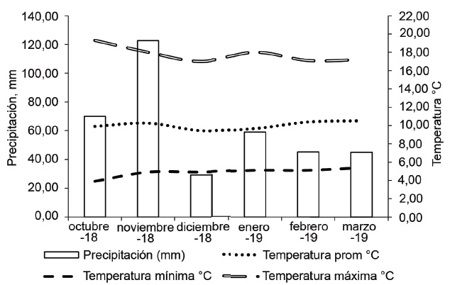 Precipitación acumulada, octubre de 2018 a marzo de 2019.
