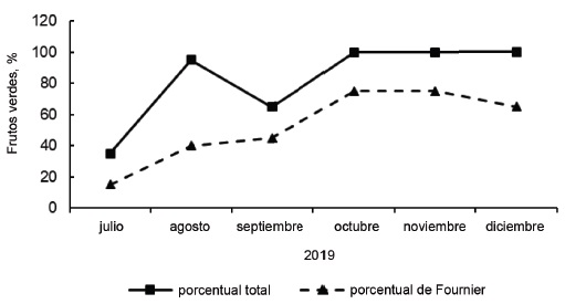 Figura 6. Representacin fenolgica (porcentaje de Fournier y porcentaje total ) de frutos verdes en J. curcas
