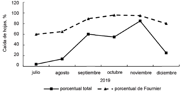 Figura 2. Representacin fenolgica (porcentaje de Fournier y porcentaje total ) de cada de hojas en J. curcas