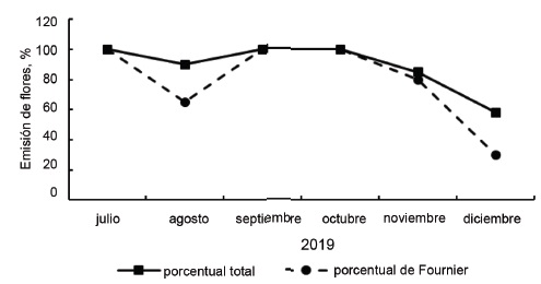Figura 4. Representacin fenolgica (porcentaje de Fournier y porcentaje total ) de emisin de flores en J. curcas