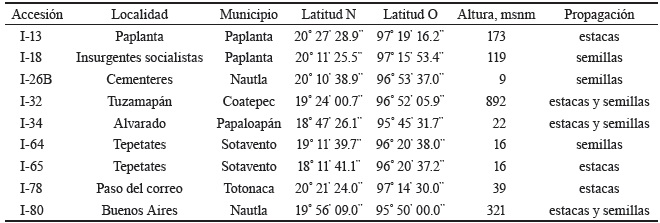 Tabla 1. Localidad, regin de colecta y altitud de las accesiones del estado de Veracruz, Mxico.