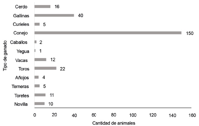 Figura 1. Componente animal en la finca.