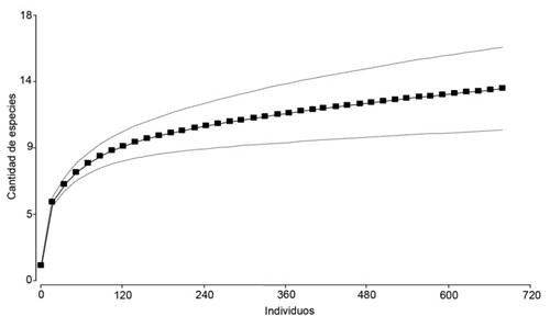 Acumulación de especies basada en individuos en la pradera.