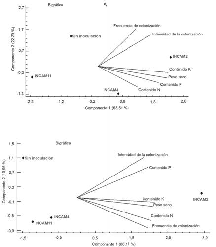 Biplot de las dos primeras componentes de los resultados de la prueba de comparación de inoculantes de HMA en Z. mays.