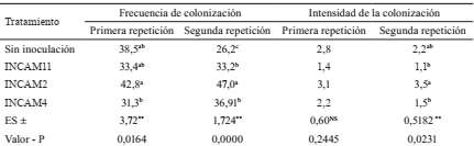 Intensidad y frecuencia de colonización por HMA en las raíces de Z. mays inoculado con diferentes inoculantes de HMA, (%.)