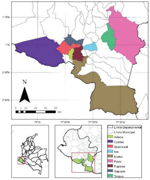 Localización de los municipios seleccionados para la caracterización de especies arbóreas y arbustivas presentes en las subcuencas lecheras de alta montaña del departamento de Nariño.