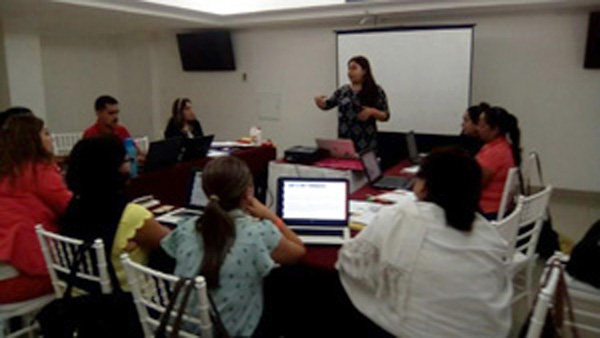 Reunión de diagnóstico, Vallarta 2016