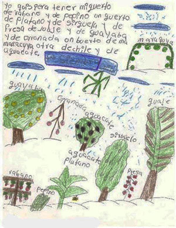 Producción textual y visual. Flora ubicada en los huertos. Tamazula de Gordiano. Ciclo 2017-2018