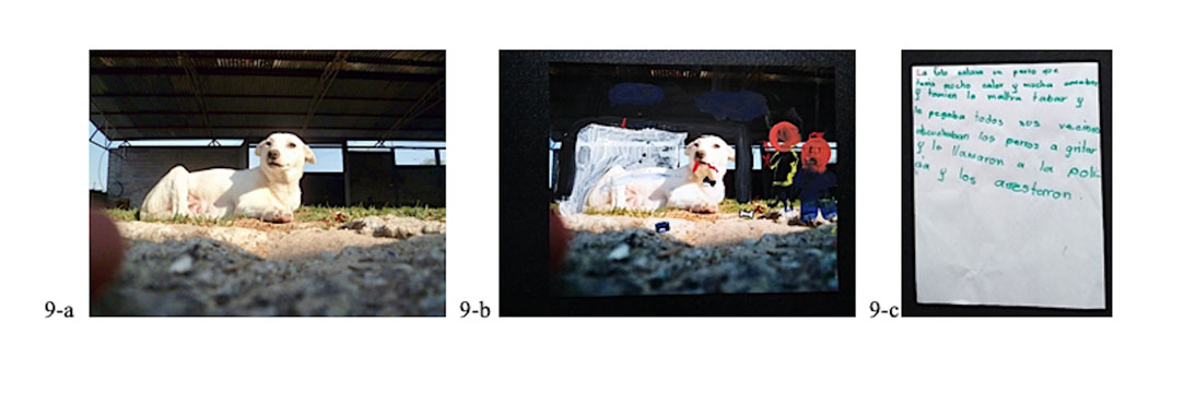 intervenci&oacute;n fotogr&aacute;fica sobre el maltrato a los animales