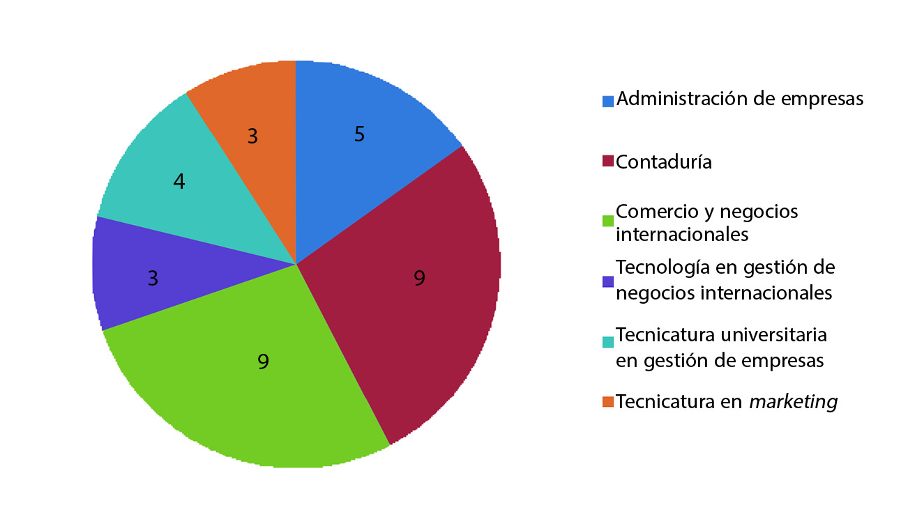 Programas de estudio de los participantes