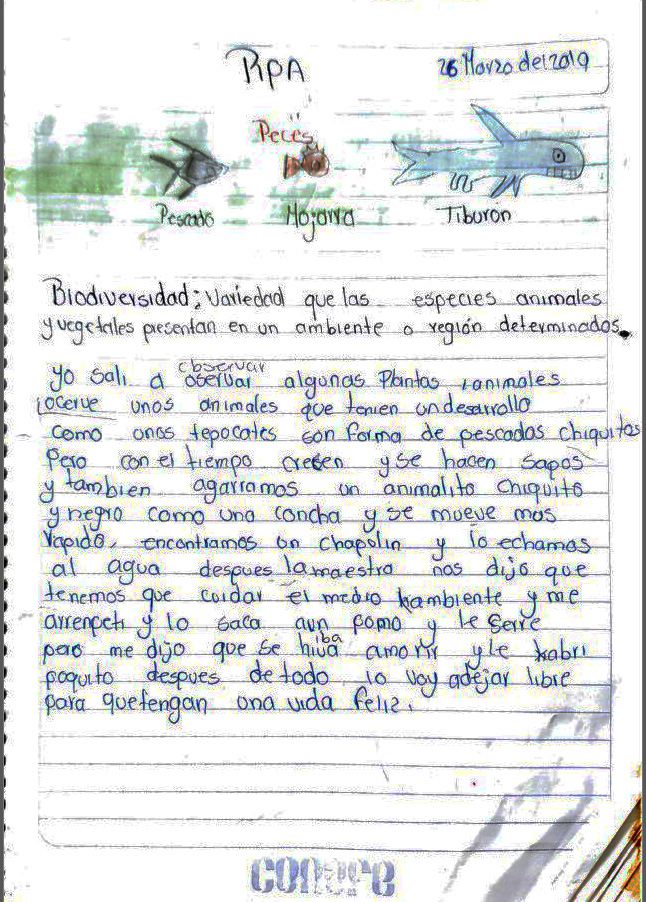 Observación de Karime a su entorno