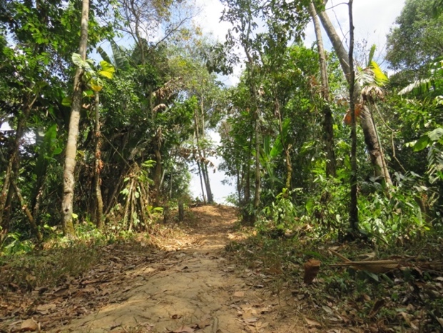 Camino hacia el rio, escuela La Planicie
