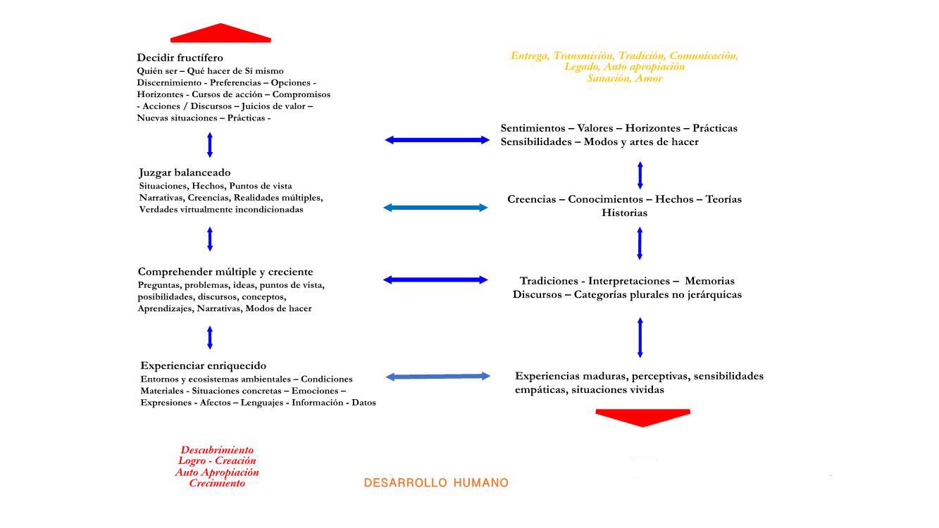 Descubrimiento y Legado
