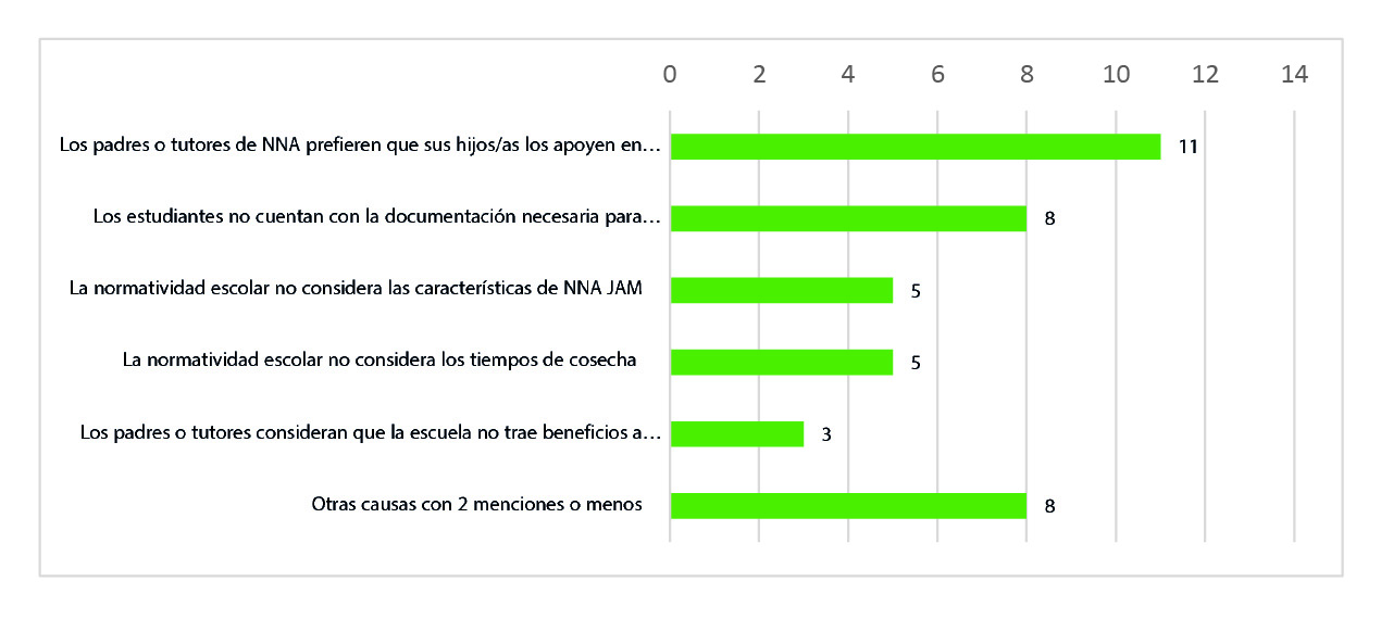 Principales causas por las que NNA JAM no acceden a la escuela*