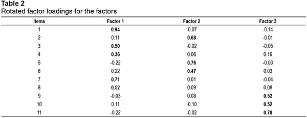 Rotated factor loadings for the factors 